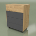 3d model Chest of drawers CN 300 (Loft, Anthracite) - preview