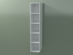 Wall tall cabinet (8DUADD01, Glacier White C01, L 24, P 36, H 120 cm)