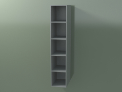 Wall tall cabinet (8DUADD01, Silver Gray C35, L 24, P 36, H 120 cm)