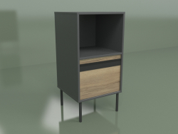 Cabinet with module 01