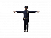 Polícia de Owen