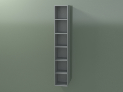 Wall tall cabinet (8DUAEC01, Silver Gray C35, L 24, P 24, H 144 cm)