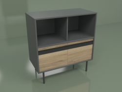Cabinet with module 02