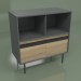 3d model Cabinet with module 02 - preview