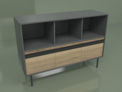 Cabinet with module 03