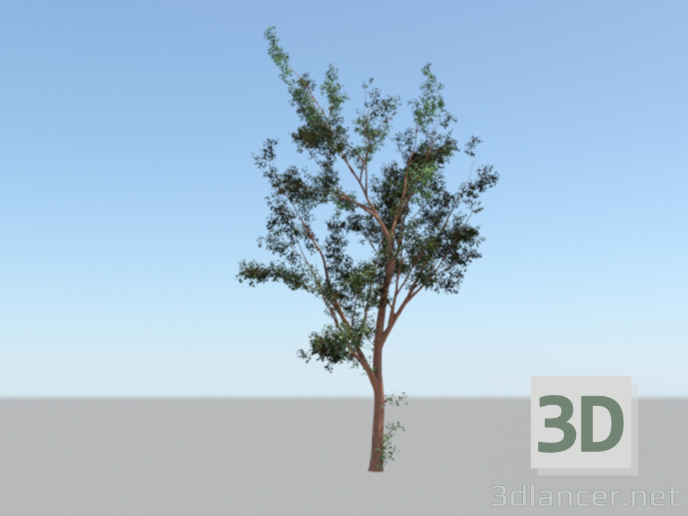 modèle 3D arbre - preview