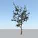 Modelo 3d árvore - preview