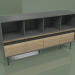 3d model Cabinet with module 04 - preview