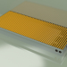 modèle 3D Convecteur gainable - Aquilo FMK (420x1000x110, RAL 1004) - preview