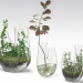 3d Plant terrarium SET PREVIEWNUM#