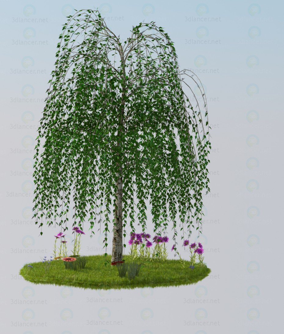 modelo 3D árbol - escuchar modelo 3D árbol - escuchar