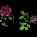 3d roses model buy - render
