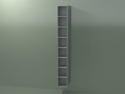 Armário alto de parede (8DUAFC01, cinza prateado C35, L 24, P 24, H 192 cm)