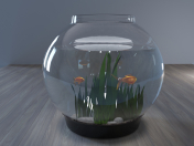 aquarium with goldfish