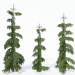 3d Norway spruce Rottenhouse model buy - render