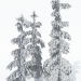 3d Norway spruce Rottenhouse model buy - render