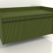 3D modeli Duvar dolabı TM 11 (1065x500x540, yeşil) - önizleme