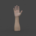 3d HAND-006 Rigged Hand model buy - render