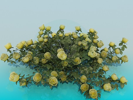 3 डी मॉडल झाड़ी गुलाब - पूर्वावलोकन