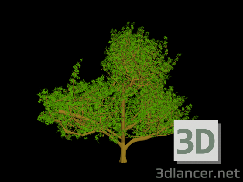 3d модель Дерево | 25171 | 3dlancer.net