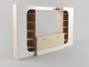 Wall unit in the living room 3