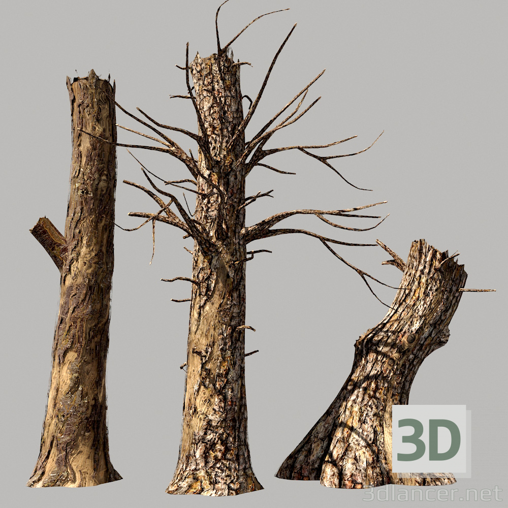3d Dead wood model buy - render