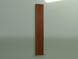 Radiateur vertical ARPA 2 (2020 10EL, Rouille brune)