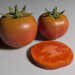 Modelo 3d Tomate - preview