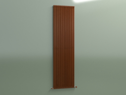 Радіатор вертикальний ARPA 2 (2020 16EL, Brown rust)