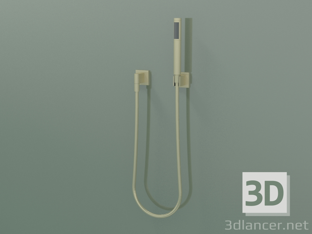 3d model Hand shower set with separate covers (27 808 980-280010) - preview