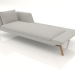 3d model Chaise longue 240 with armrest on the left (wooden legs) - preview