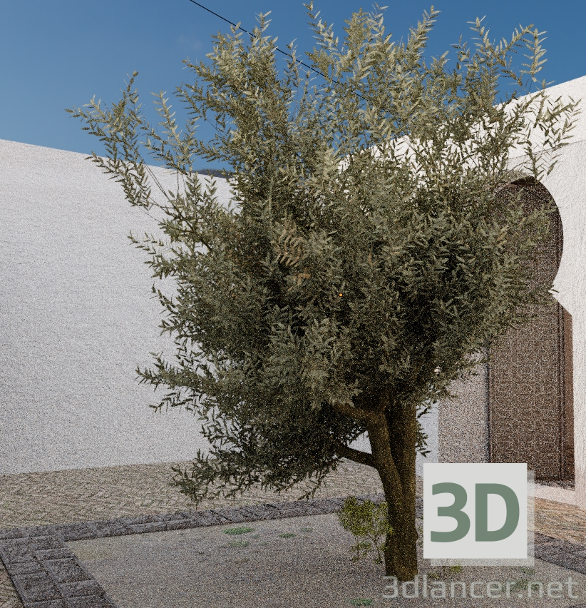 3d model Olive - preview