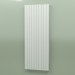 3d model Radiator - Faro V (FAV 21 1950 750, RAL - 7038) - preview