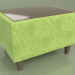modello 3D Tavolino rettangolare Cosmo (Velluto verde) - anteprima