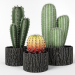 3d Cactus set model buy - render 3d Cactus set model buy - render