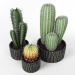3d Cactus set model buy - render 3d Cactus set model buy - render