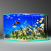 modèle 3D de Aquarium acheter - rendu