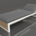 3D modeli Uzanma koltuğu (Akik gri) - önizleme