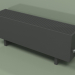 modello 3D Convettore - Aura Basic (280x1000x236, RAL 9005) - anteprima