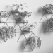 3D Bitkilerle modüler raf. modeli satın - render