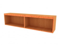 Shelf A303