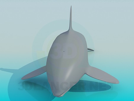 3d model Whale - preview 3d model Whale - preview