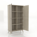 3D Modell Schrank 5 1000x450x1800 mm (offen, Eiche hell) - Vorschau