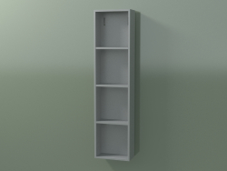 Wall tall cabinet (8DUAEA01, Silver Gray C35, L 24, P 12, H 96 cm)