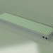 3D modeli Kanal konvektörü - Aquilo F1Т (260х1000х90, RAL 6019) - önizleme