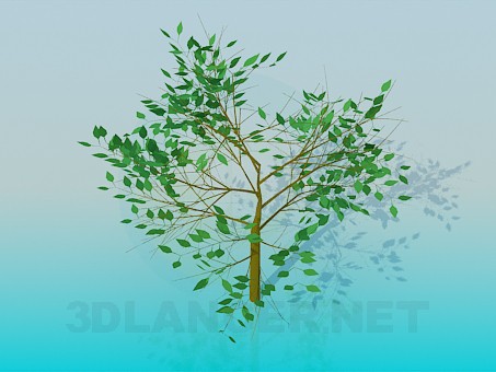 modelo 3D Árbol - escuchar modelo 3D Árbol - escuchar