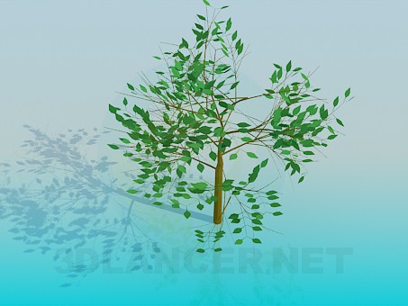 modelo 3D Árbol - escuchar modelo 3D Árbol - escuchar