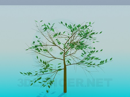 modelo 3D Árbol - escuchar modelo 3D Árbol - escuchar