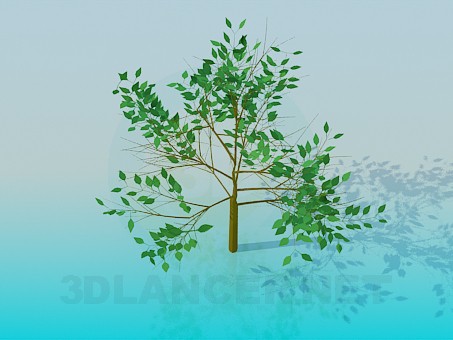 modelo 3D Árbol - escuchar modelo 3D Árbol - escuchar