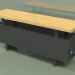 3d модель Конвектор - Aura Bench (240х1000х236, RAL 9005) – превью